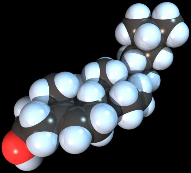 Triglycerides  ldl  hdl  cholesterol Ldl cholesterol that’s too low may perhaps additionally merely boost risk for hemorrhagic stroke – Scientific Xpress