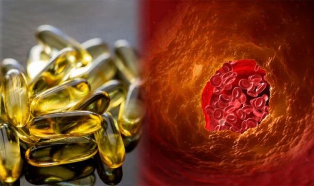 Triglycerides  ldl  hdl  cholesterol Superb supplements for cholesterol: Fish oil can enhance ‘correct’ levels of cholesterol says investigate cross-check – Lisp