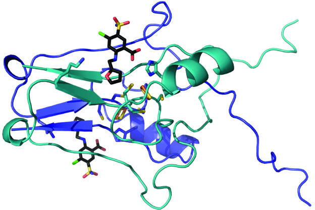 Triglycerides  ldl  hdl  cholesterol Researchers blueprint crystals to come treatments for stroke, diabetes, dementia – Phys.org